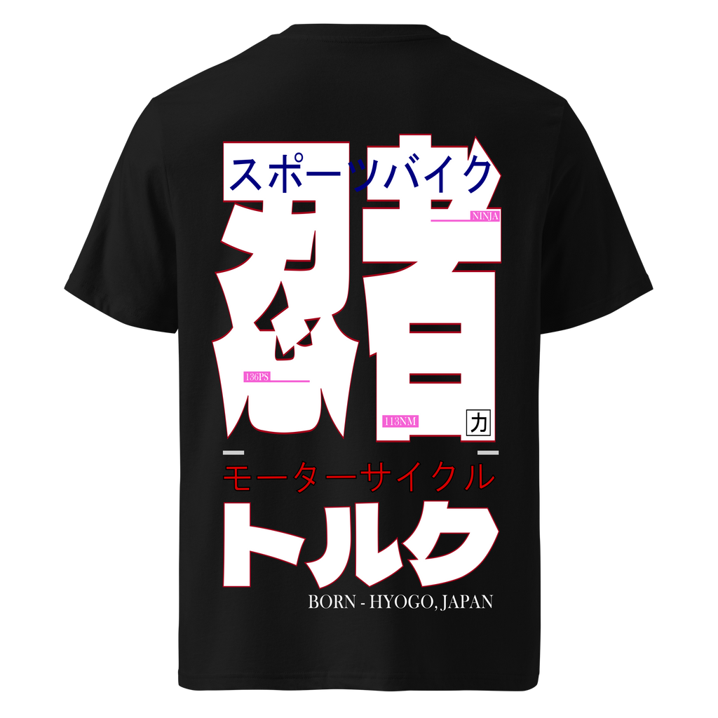 The Iron Nomad Ninja Text
